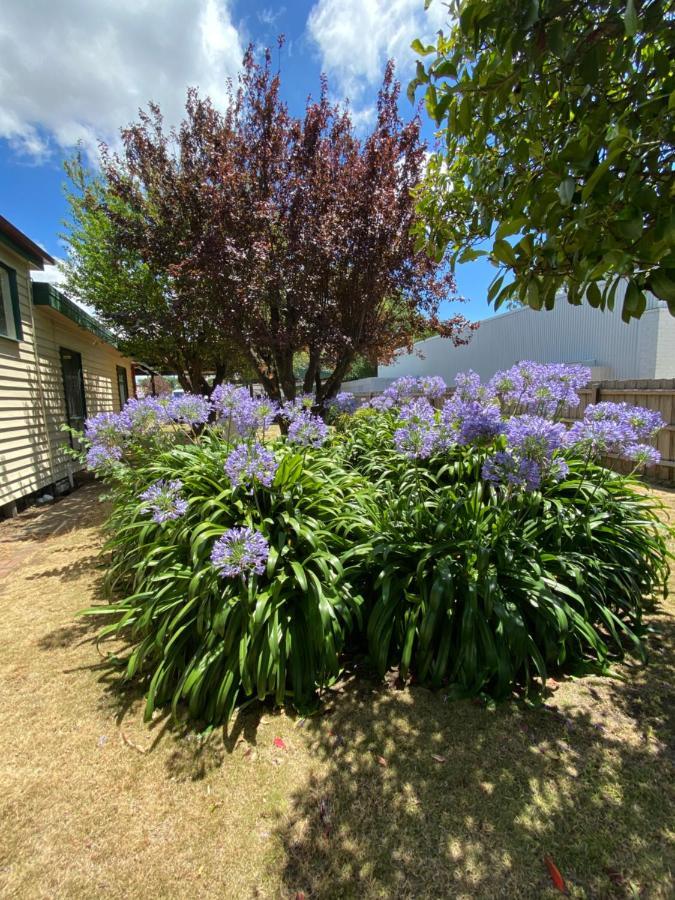 Delightful And Charming Rose Cottage Kilmore Exteriér fotografie